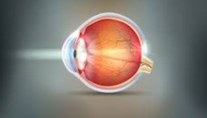 untitled design (22)