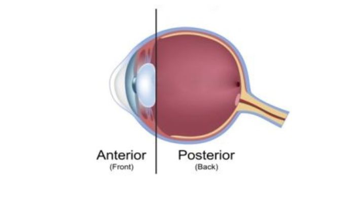 untitled design (24)