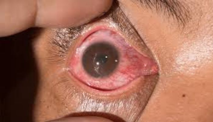 untitled design (28)